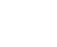 stork