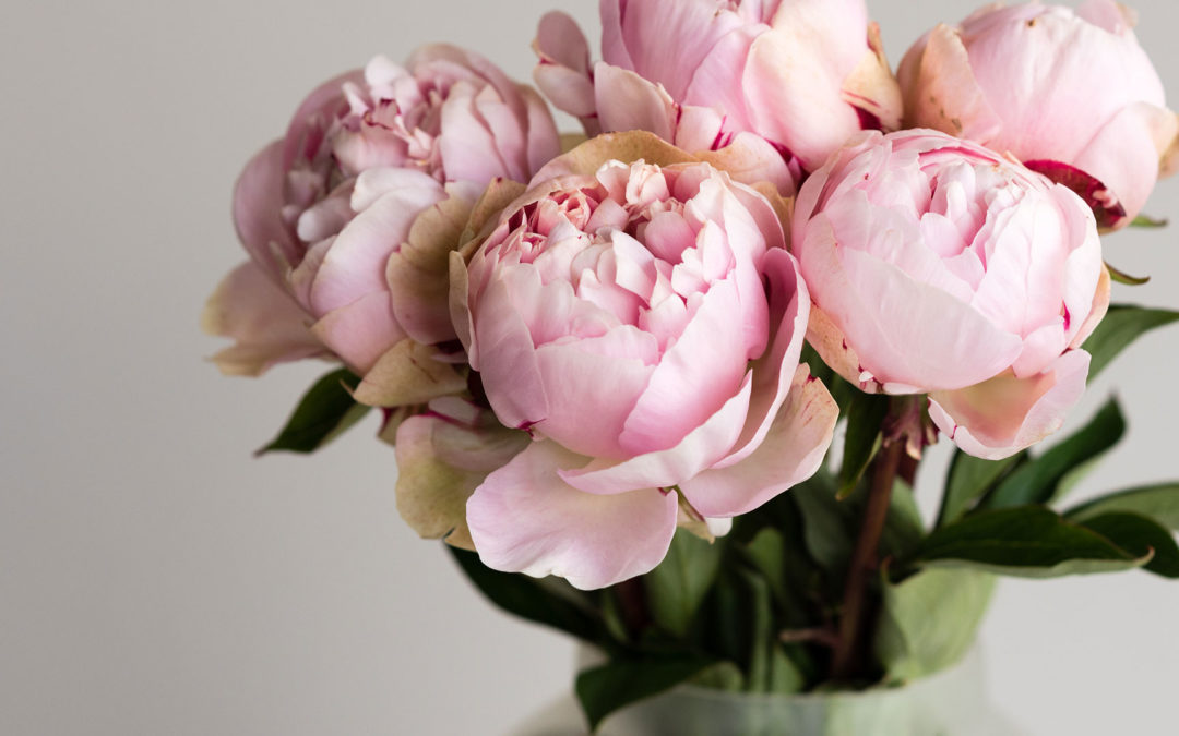 pink peonies and clear vase