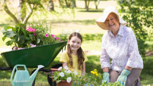 Summer with the Grandkids