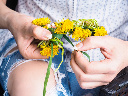 Female person creating a flower crown from fresh yellow dandelion