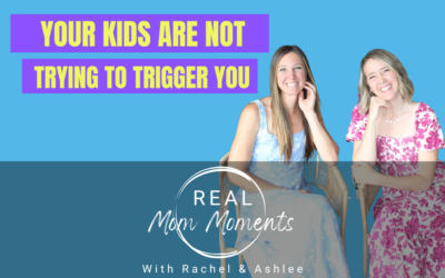 Your Kids Are Not Trying to Trigger You